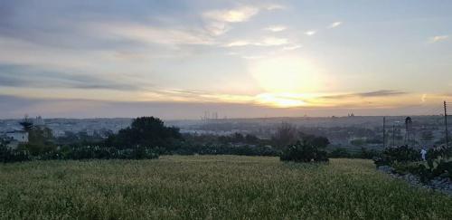 Malta_2018_009